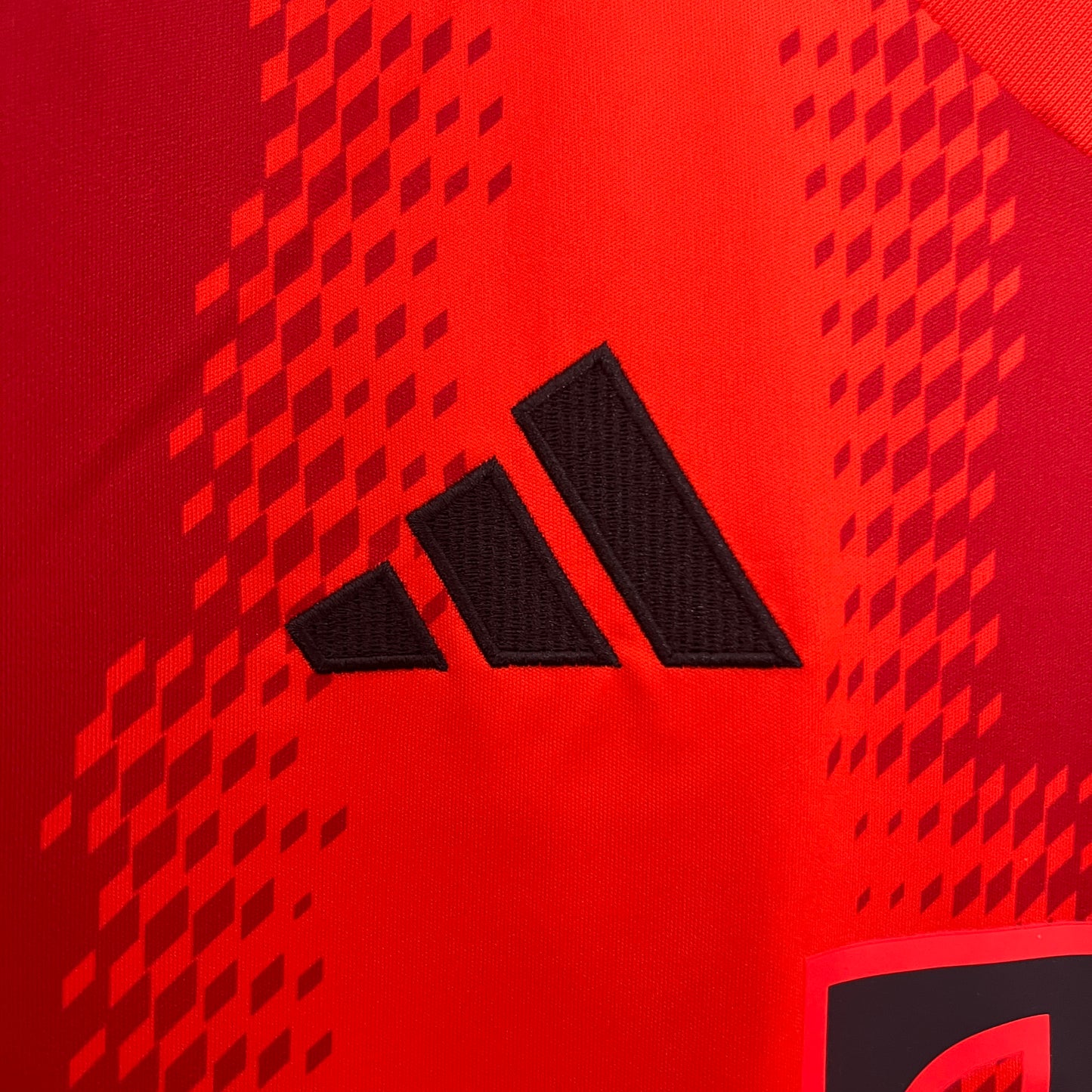 Bayern de Munique 24/25