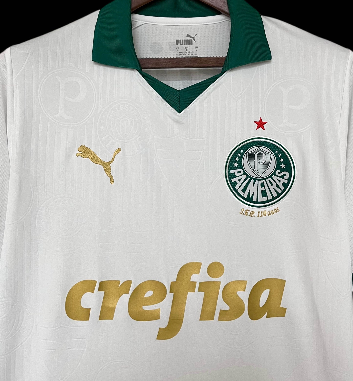 Palmeiras 24/25 Alternativa