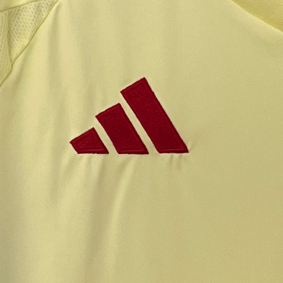 Espanha 2024 Alternativa