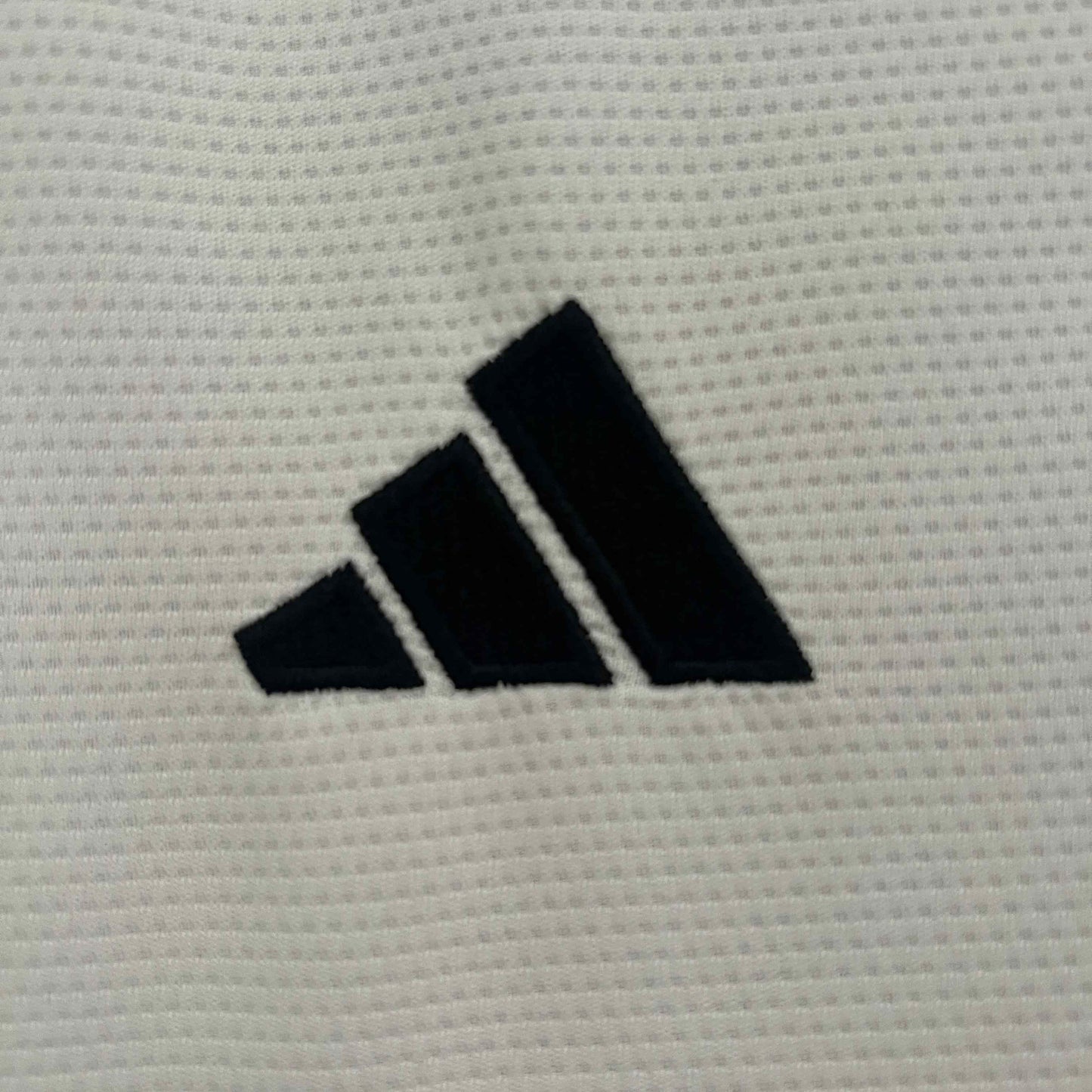Colo-colo 24/25