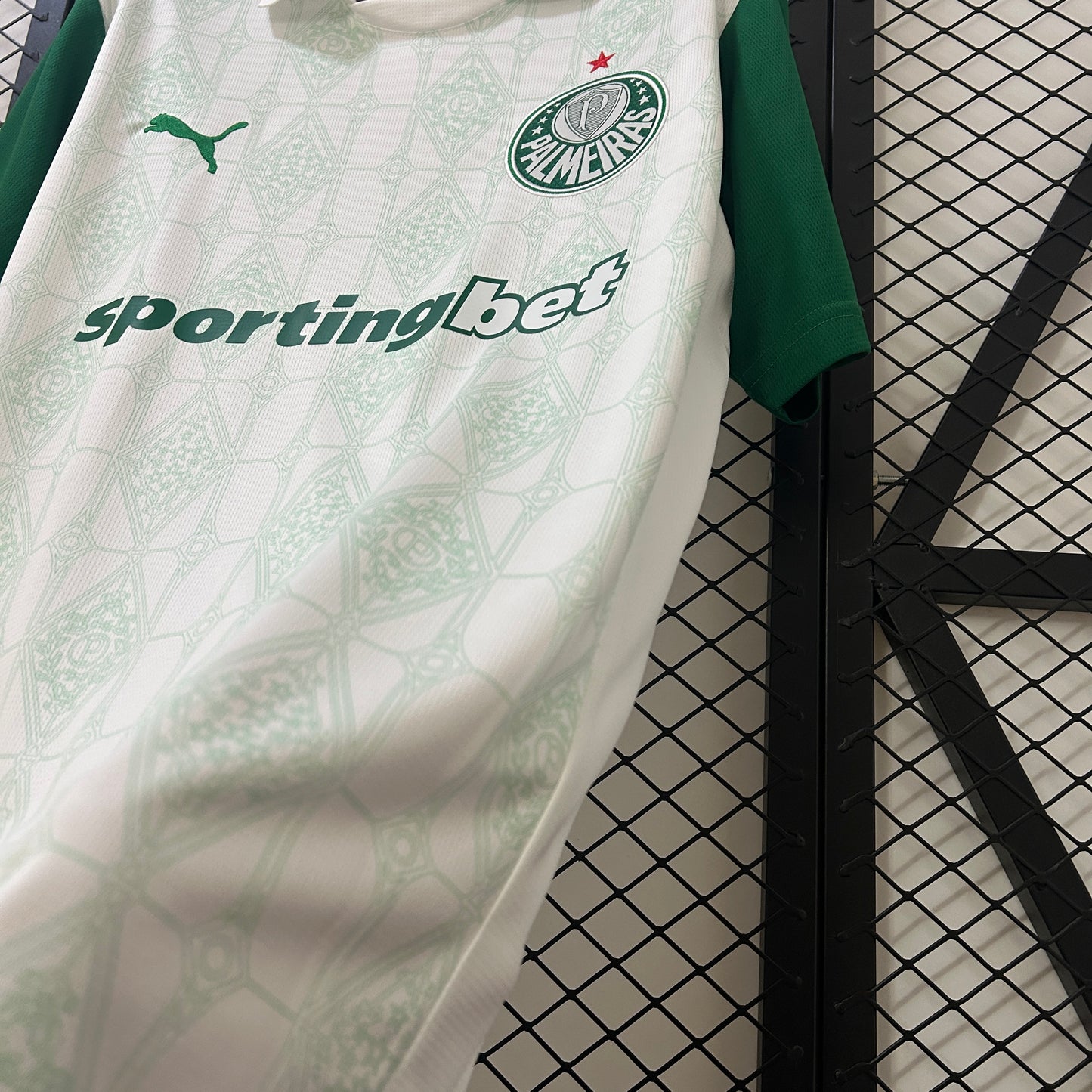 Palmeiras Alternativa 25/26