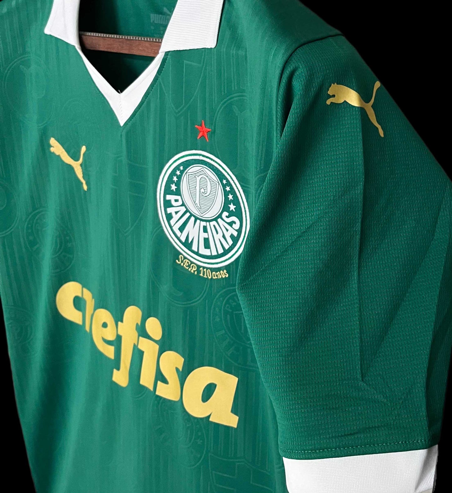 Palmeiras 24/25