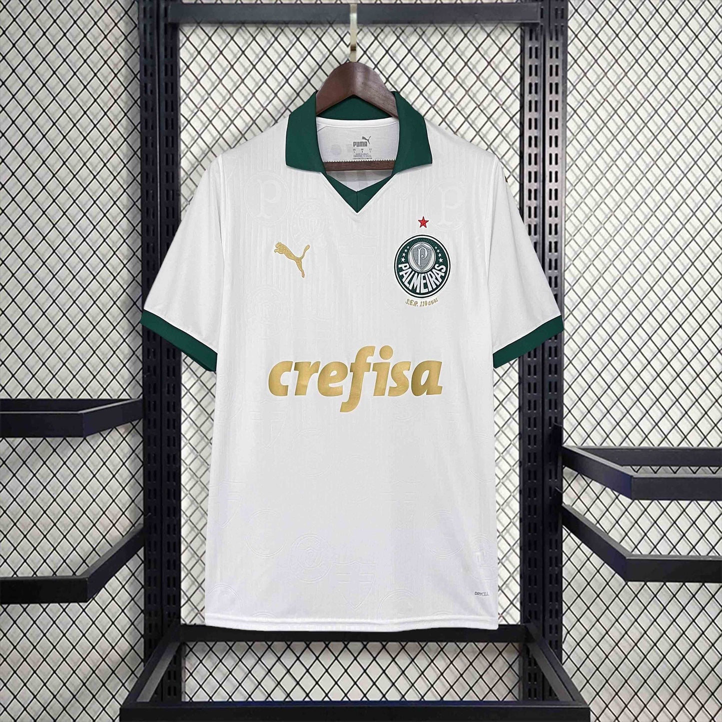 Palmeiras 24/25 Alternativa