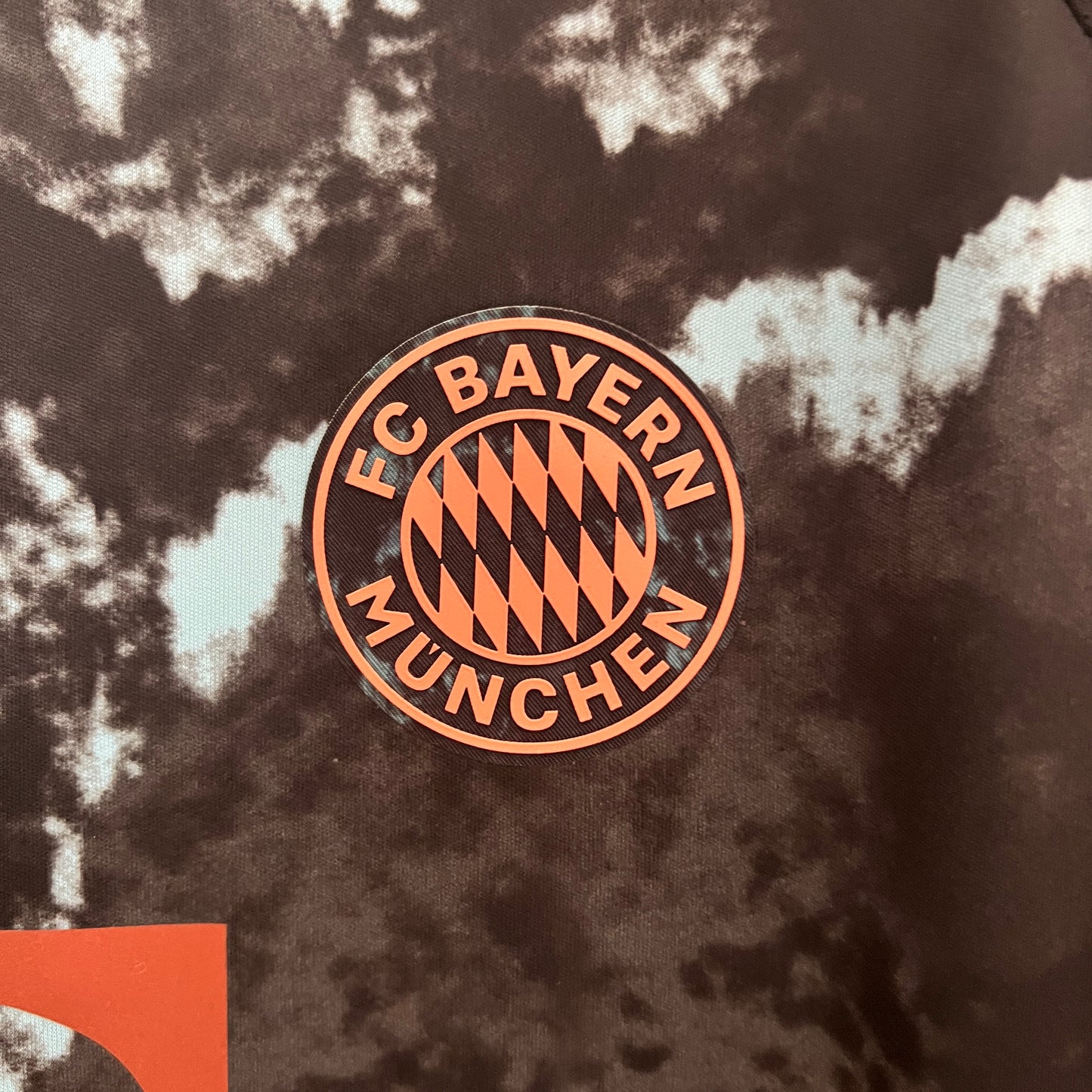 Bayern de Munique 24/25 Alternativa